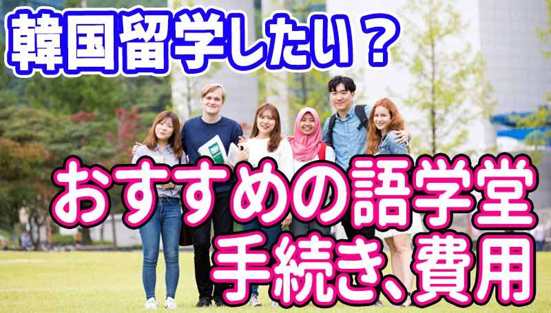 韓国留学したい？メリット、語学堂と語学学校の違い、おすすめ大学5選、手続きと費用まで経験者が総まとめ